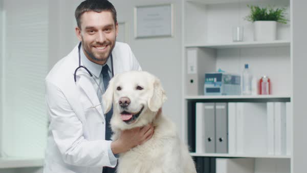 Veterinary compounding in Indianapolis, IN